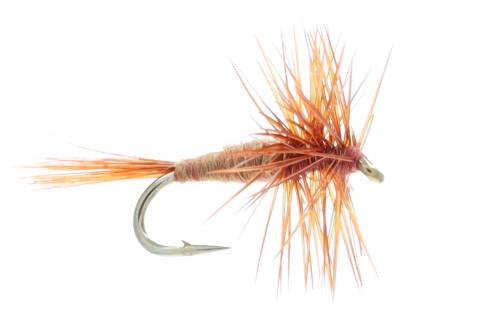 Midge - Brown